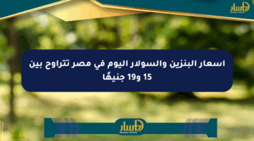 أسعار البنزين والسولار اليوم في مصر تتراوح بين 15 و19 جنيهًا